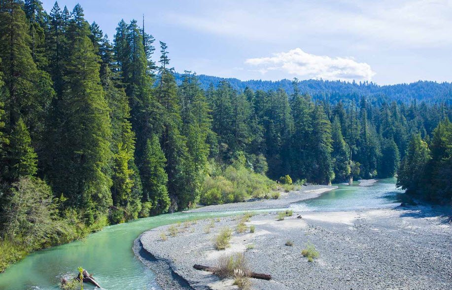 Grizzly Creek Redwoods State Park, California, USA